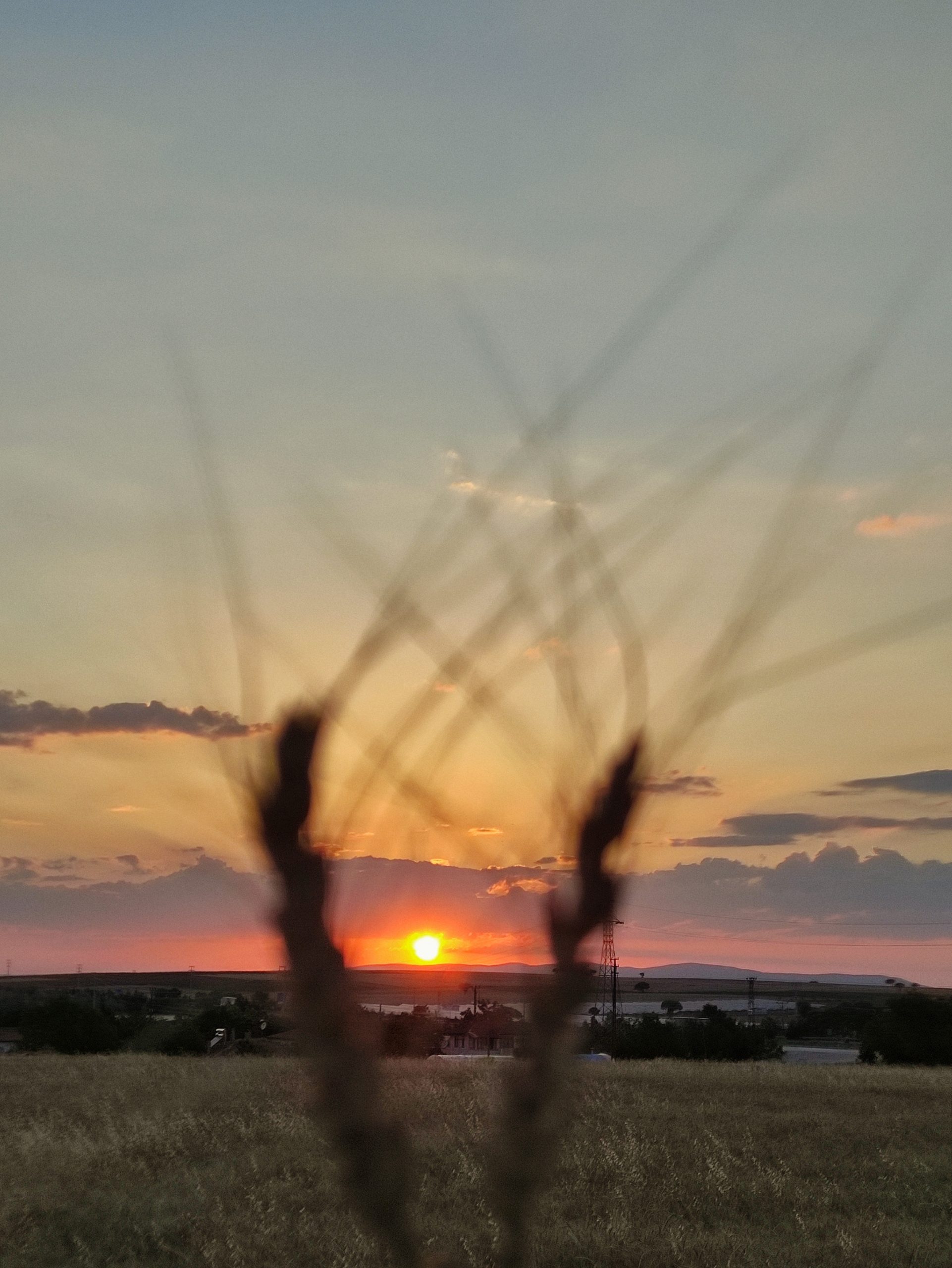 atardecer